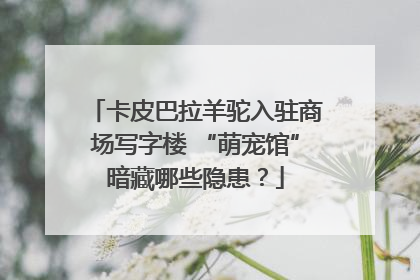 卡皮巴拉羊驼入驻商场写字楼 “萌宠馆”暗藏哪些隐患？